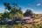 Deteema Camp -Machaba Safaris - Hwange - Zimbabwe