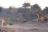 Deteema Springs Camp