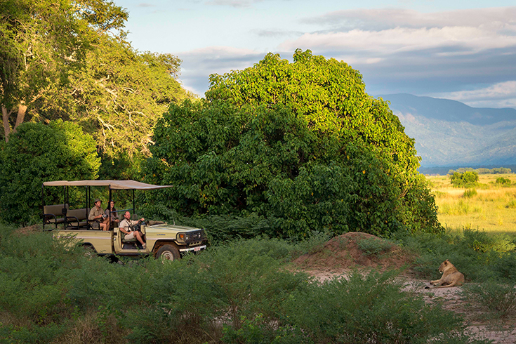 John's Camp - Game Drive