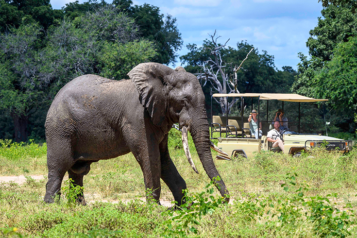 John's Camp - Game Drive