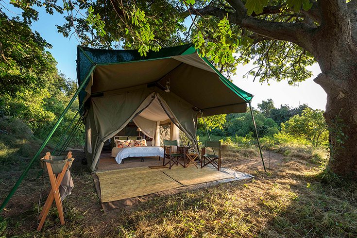 John's Camp - Zelt Zimmer