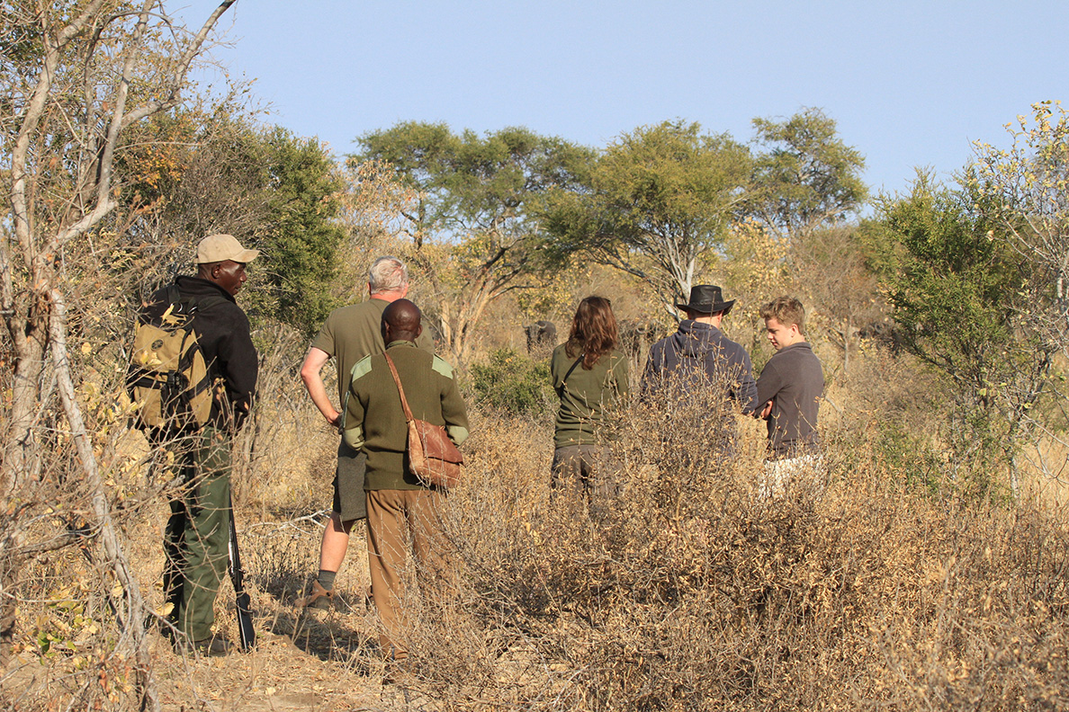 Jozibanini Camp - Walk