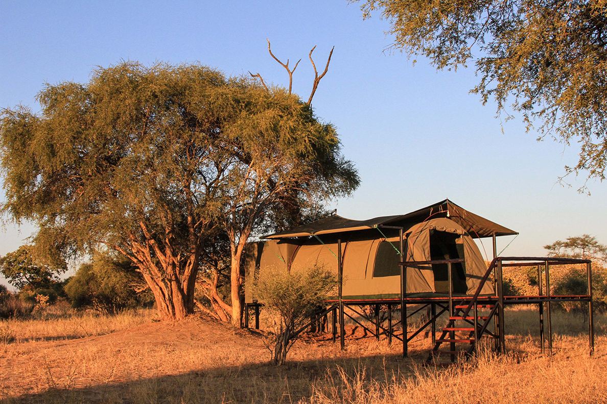 Jozibanini Camp - Zeltzimmer