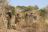 Jozibanini Camp - Walk