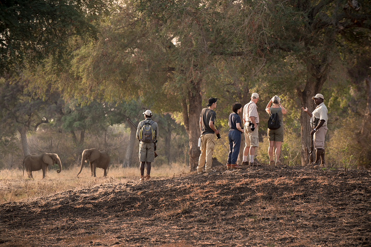 Kanga Camp