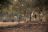 Kanga Camp