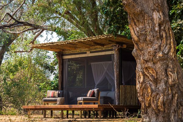 Little Ruckomechi Camp