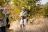 Masuwe Lodge - Bush Walk Masuwe Lodge - Bush Walk