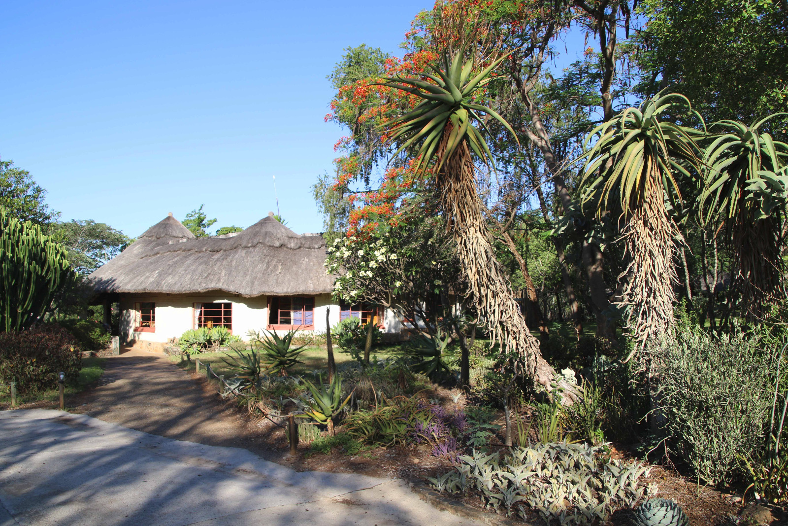 Musangano Lodge - Hauptgebäude
