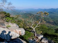 Musangano Lodge - Hikingtrail Musangano Lodge - Hikingtrail