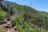 Musangano Lodge - Hikingtrail Musangano Lodge - Hikingtrail