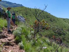 Musangano Lodge - Hikingtrail Musangano Lodge - Hikingtrail
