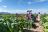 Musangano Lodge - Besuch einer Tabakfarm Musangano Lodge - Besuch einer Tabakfarm