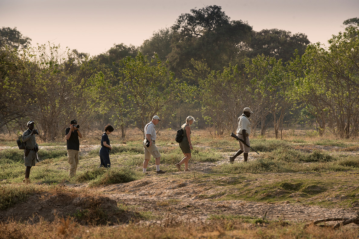 Nyamatusi Camp - Bush Walk