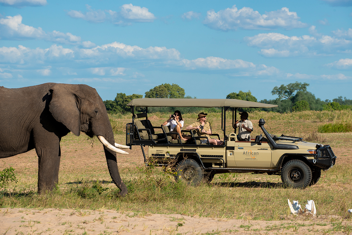 Nyamatusi Camp - Game Drive