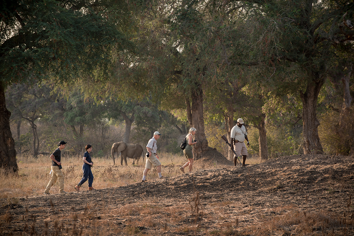 Nyamatusi Camp - Bush Walk