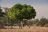 Nyamatusi Camp - Bush Walk