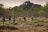 Nyamatusi Camp - Bush Walk