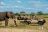 Nyamatusi Camp - Game Drive