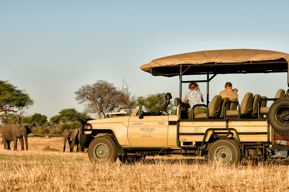 Somalisa Expeditions - Game Drive