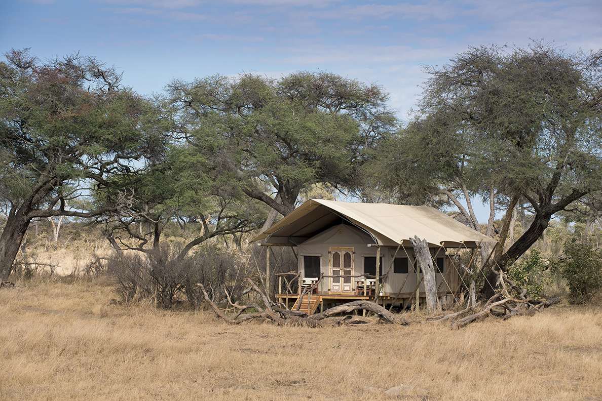 Somalisa Expeditions - Zelt Zimmer