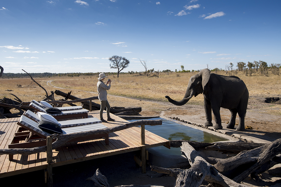 Somalisa Expeditions - Elephant Pool