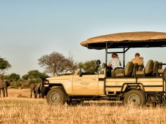 Somalisa Expeditions - Game Drive