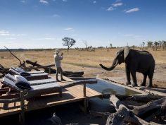 Somalisa Expeditions - Elephant Pool