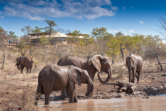 The Elephant Camp, Wasserstelle unterhalb des Camps