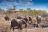 The Elephant Camp, Wasserstelle unterhalb des Camps