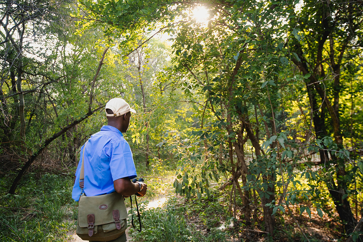 Tsowa Safari Island - Bush Walk mit kundigem Guide