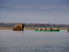 Zambezi Expeditions - Kanuausflug
