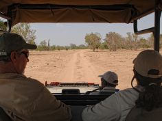 Zambezi Expeditions - Game Drive