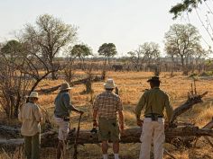 Zambezi Expeditions - Bush Walk