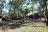 Lodge at the Ancient City - Bungalow Lodge at the Ancient City - Bungalow