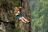 Victoria Falls - Zip Line Victoria Falls - Zip Line