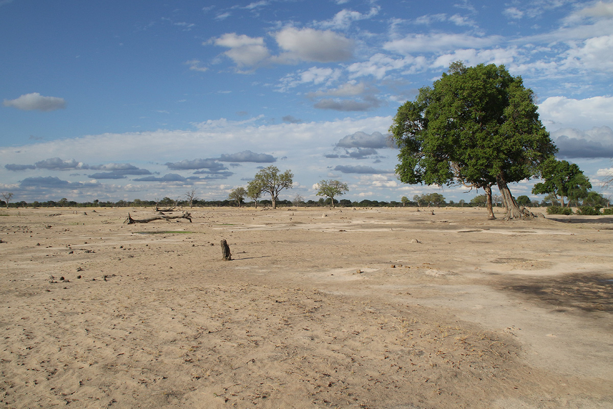 Hwange National Park
