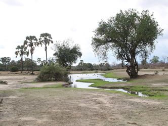 Mana Pools National Park Mana Pools National Park
