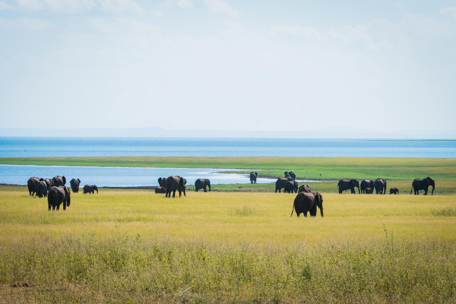 Matusadona National Park (Changa Safari Camp)