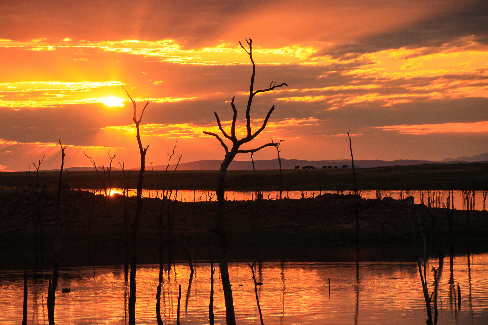 Matusadona National Park (Changa Safari Camp)