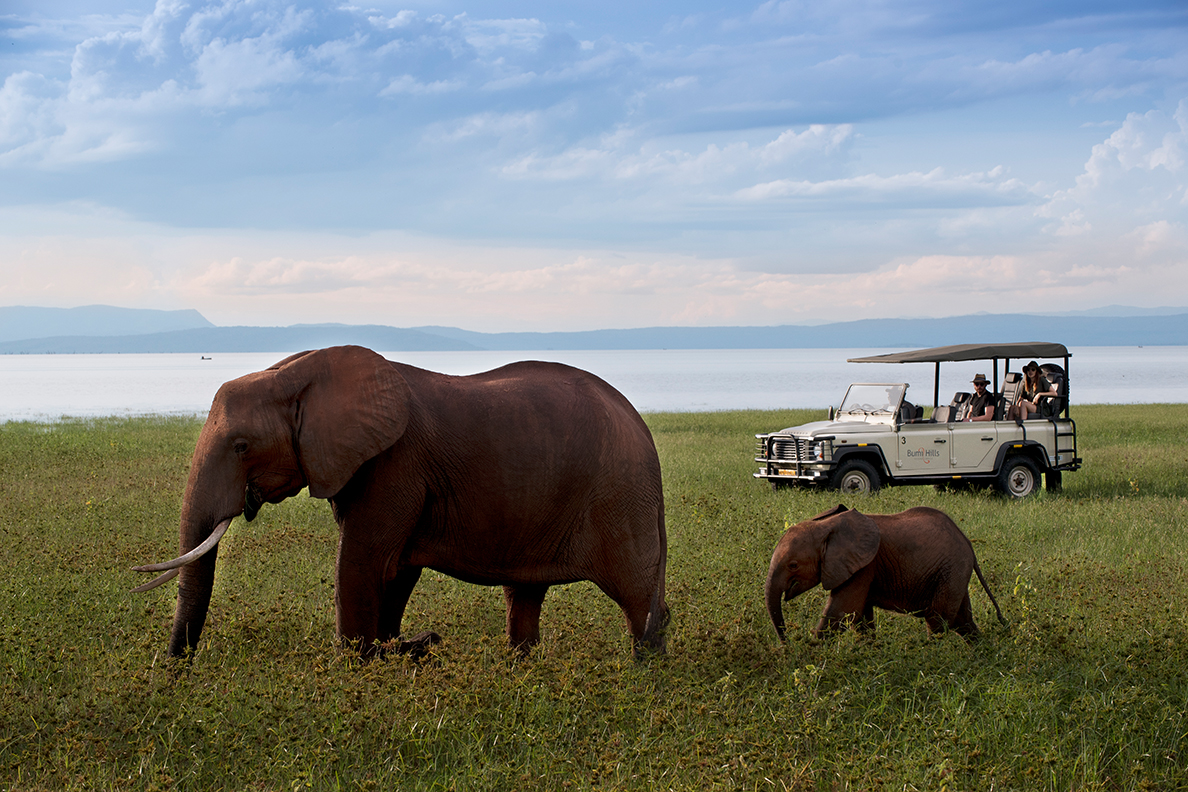 Matusadona National Park (African Bush Camps)