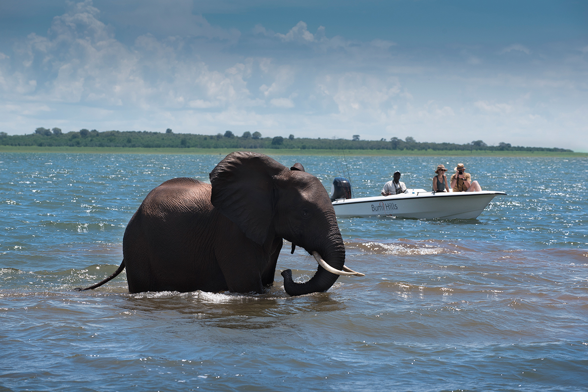 Matusadona National Park (African Bush Camps)