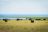 Matusadona National Park (Changa Safari Camp) Matusadona National Park (Changa Safari Camp)