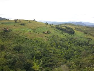 Eastern Highlands - Chimanimani Eastern Highlands - Chimanimani