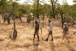 Mana Pools National Park