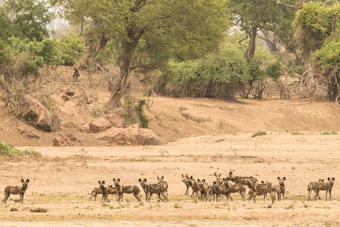 Gonarezhou National Park