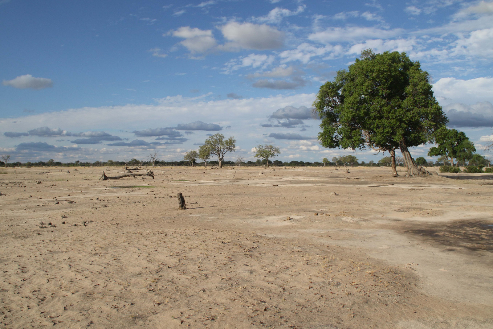 Hwange National Park