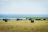 Matusadona National Park