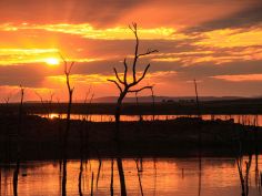 Matusadona National Park - Sonnenuntergang