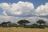 Hwange National Park